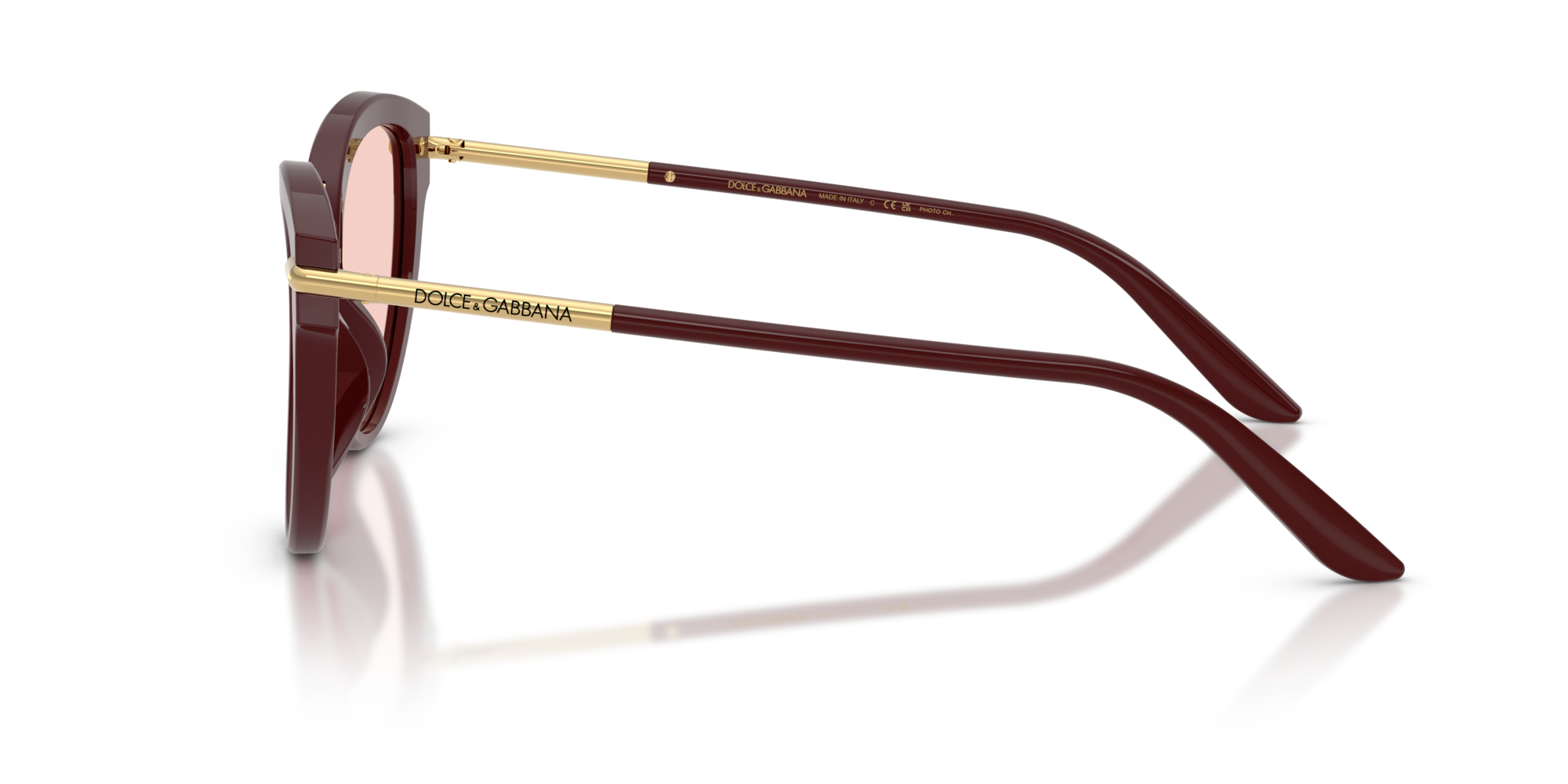 DG4492 3091P5 Occhiali da sole Dolce & Gabbana 4