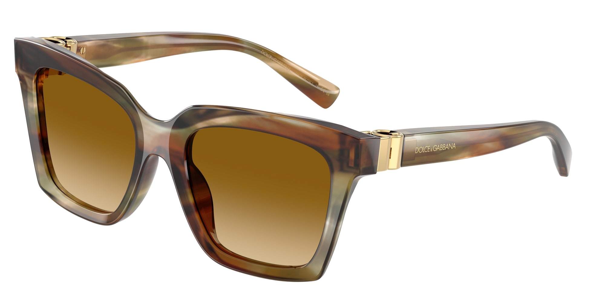 DG4498 34462L Occhiali da sole Dolce & Gabbana 1
