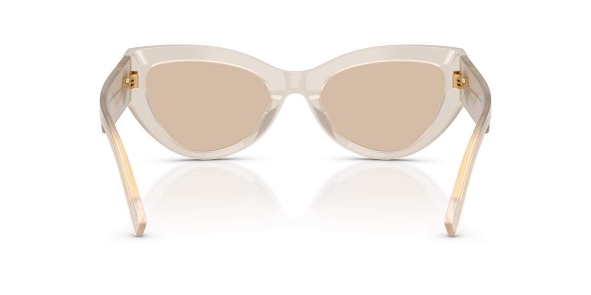 Dolce & Gabbana DG4536 342093