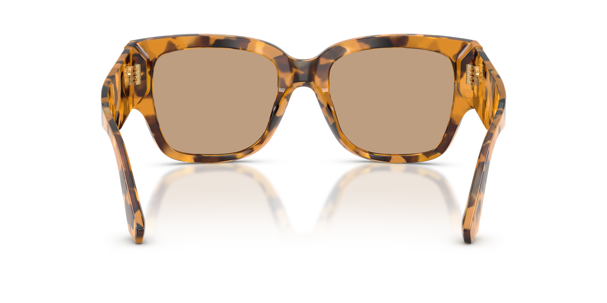 Dolce & Gabbana DG4563 349663
