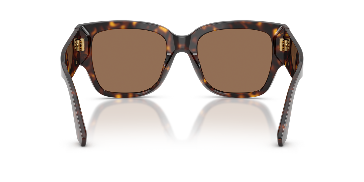 Dolce & Gabbana DG4563 502/73