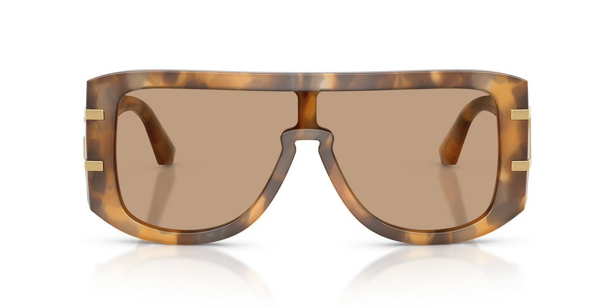 Dolce & Gabbana DG4565 349663