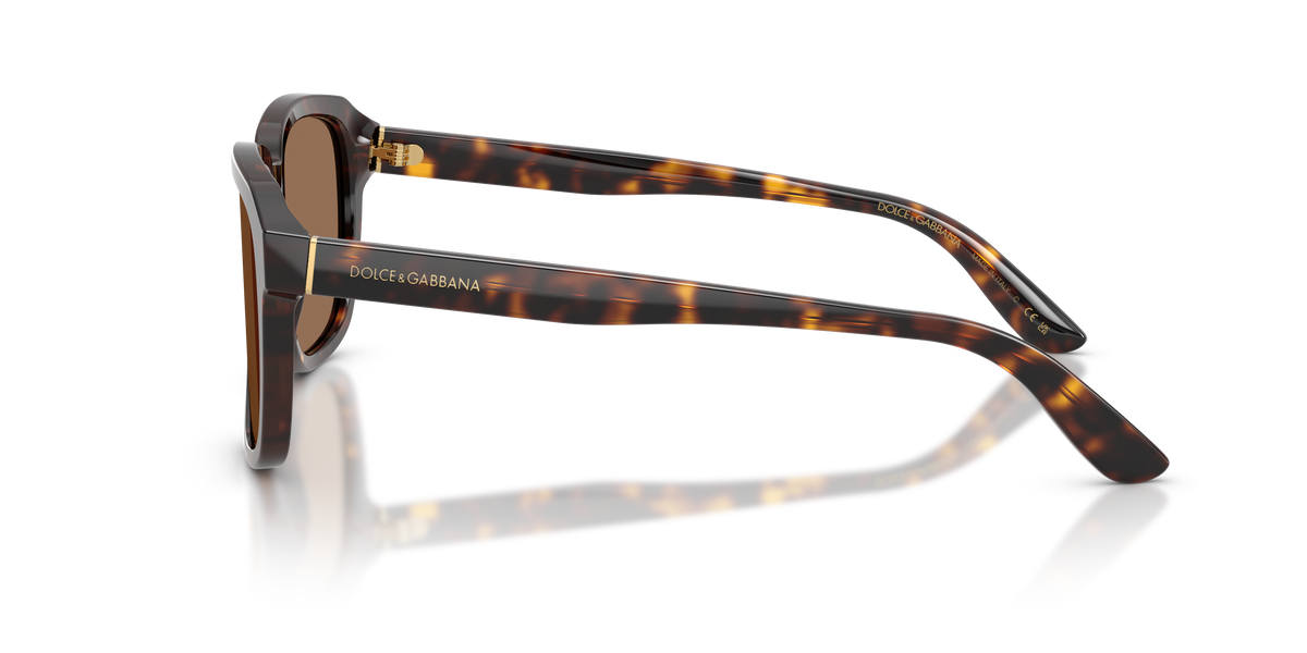 Dolce & Gabbana DG4566 502/73