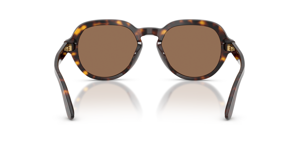 Dolce & Gabbana DG4567 502/73