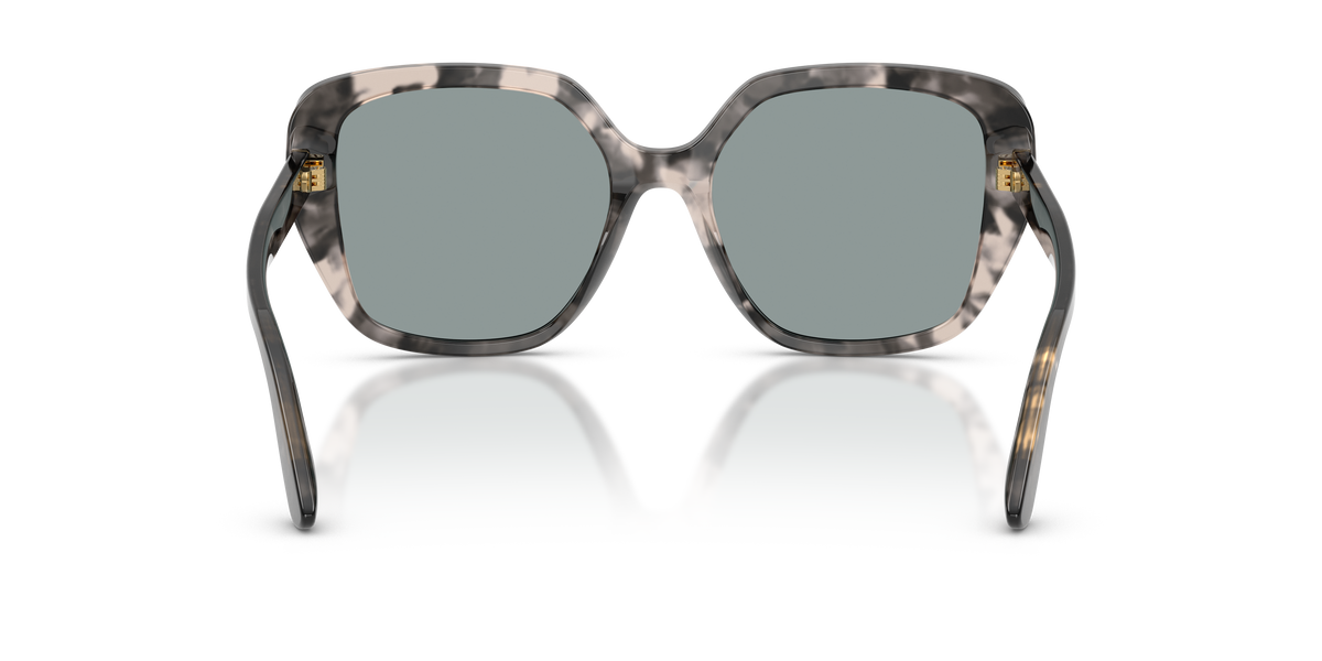 Dolce & Gabbana DG4569 3172/1