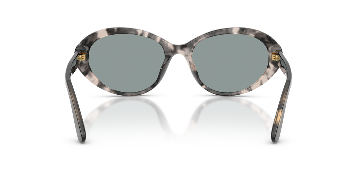 Dolce & Gabbana DG4570 3172/1