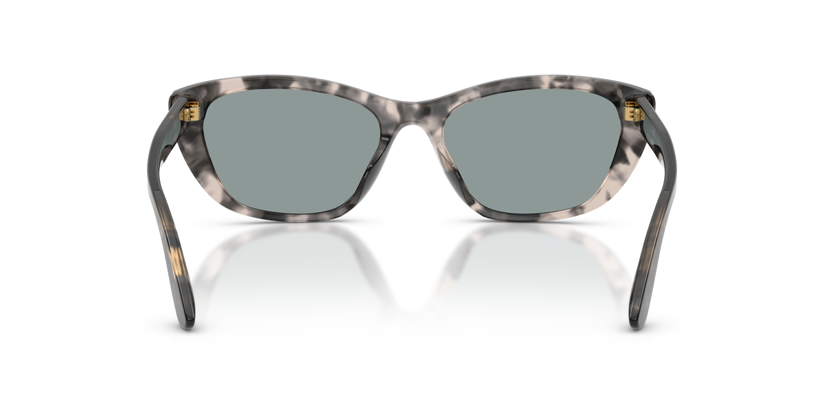 Dolce & Gabbana DG4571 3172/1