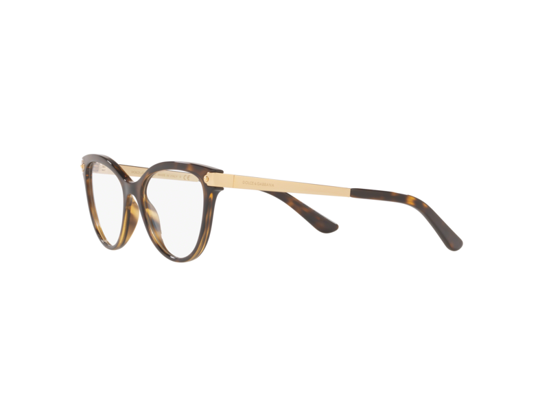 Dolce & Gabbana DG5042 502