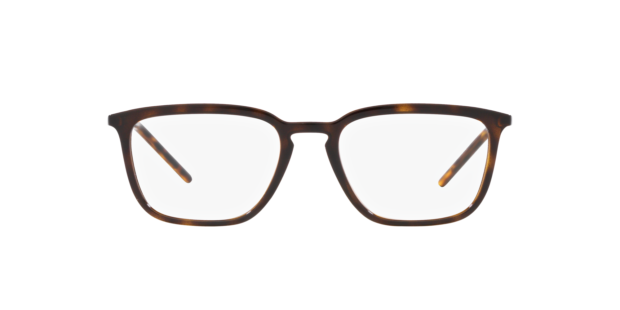 Dolce & Gabbana DG5098 L502