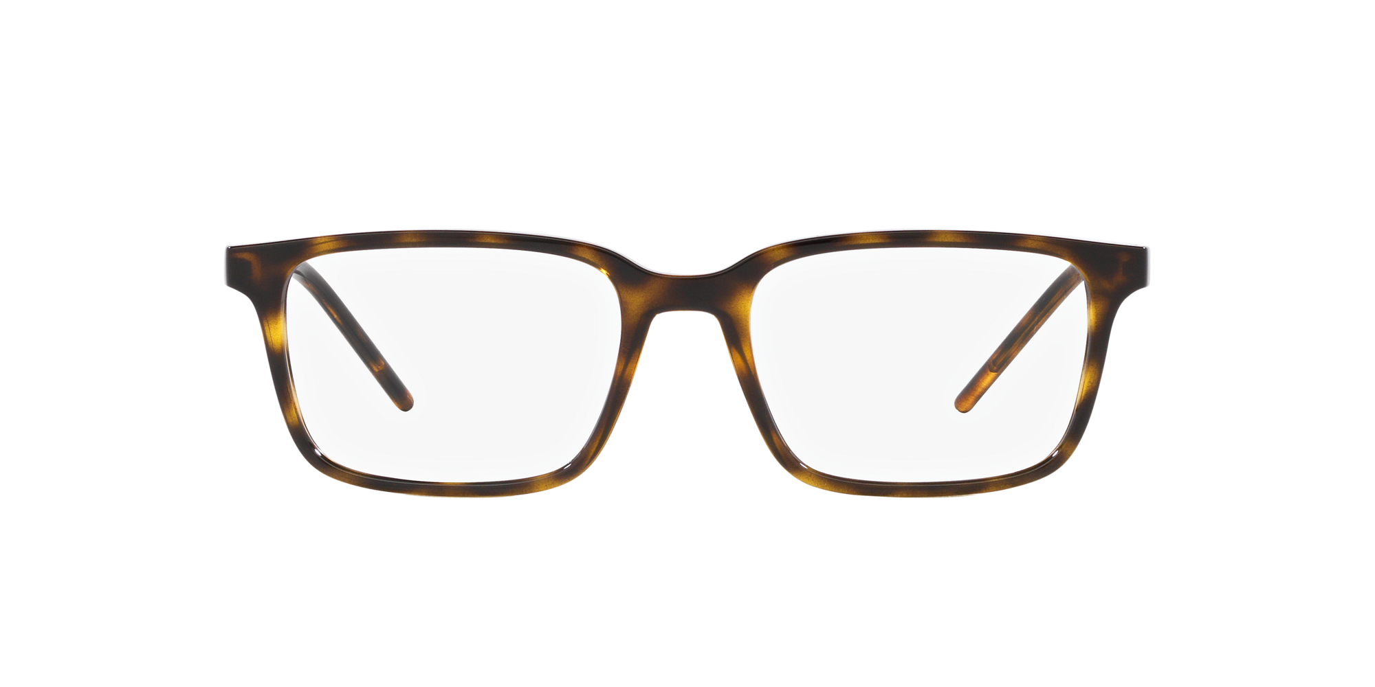 Dolce & Gabbana DG5099 L502