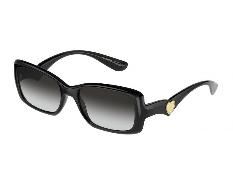 Dolce & Gabbana DG6152 501/8G