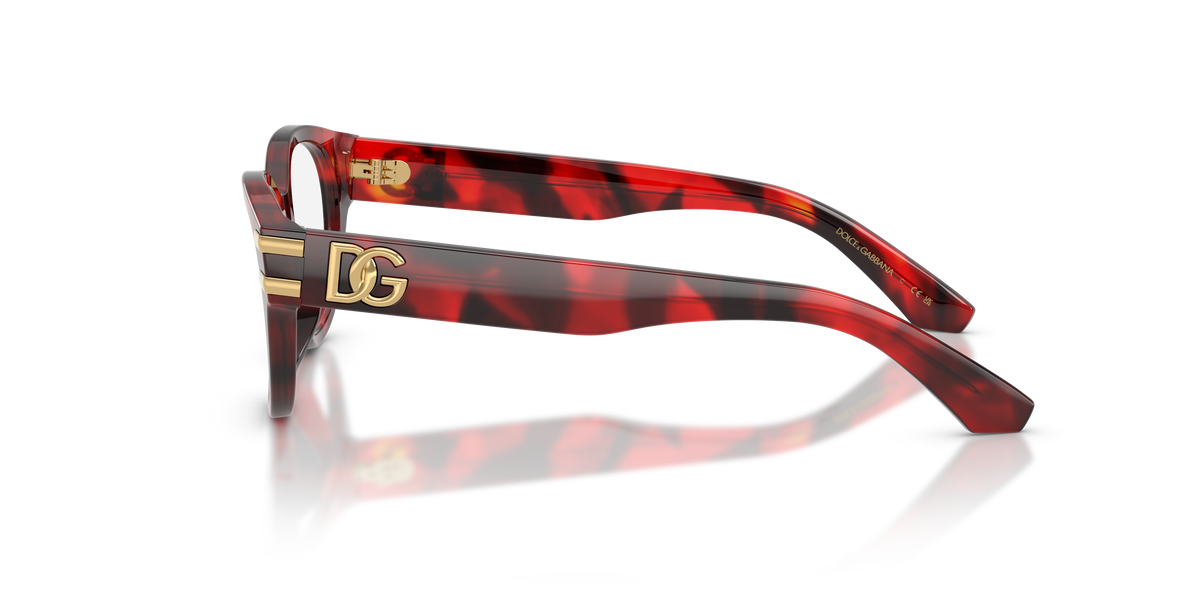 Dolce & Gabbana DX3004 3491