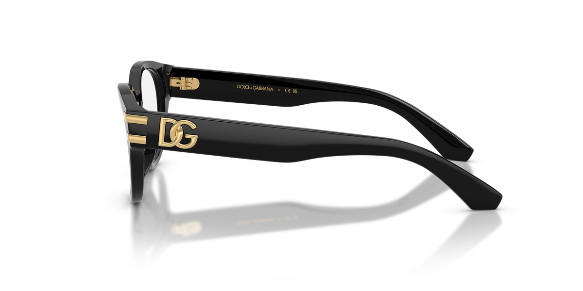 Dolce & Gabbana DX3004 501