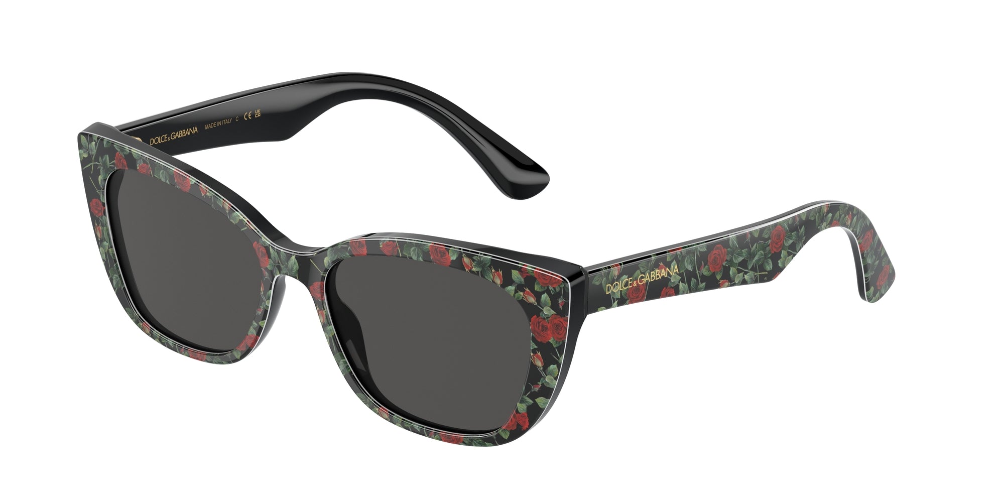 Dolce & Gabbana Sluneční brýle DX4427 342687 Dolce & Gabbana 1