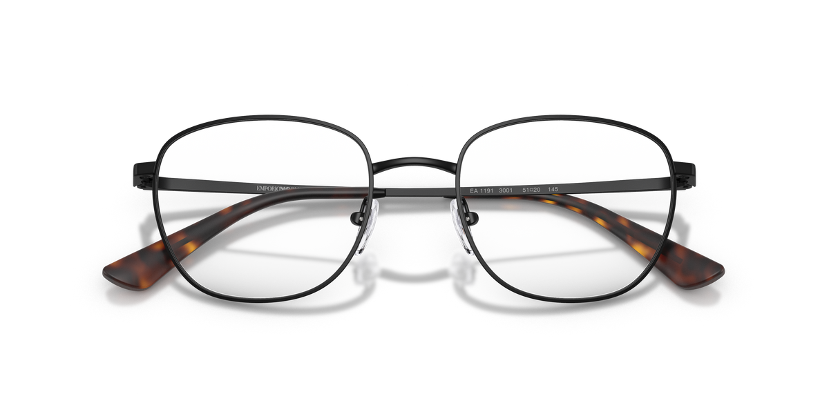 Emporio Armani EA1191 3001