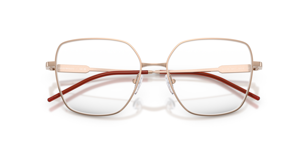Emporio Armani EA1192 3011