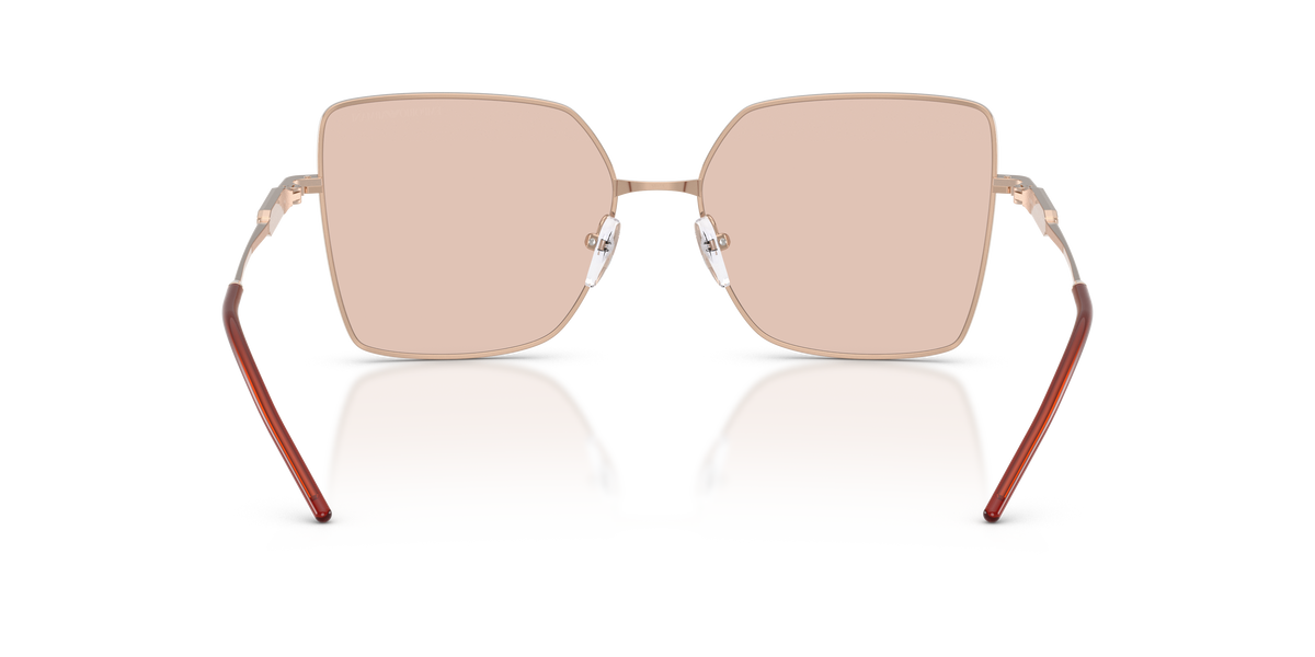 Emporio Armani EA2179 301173