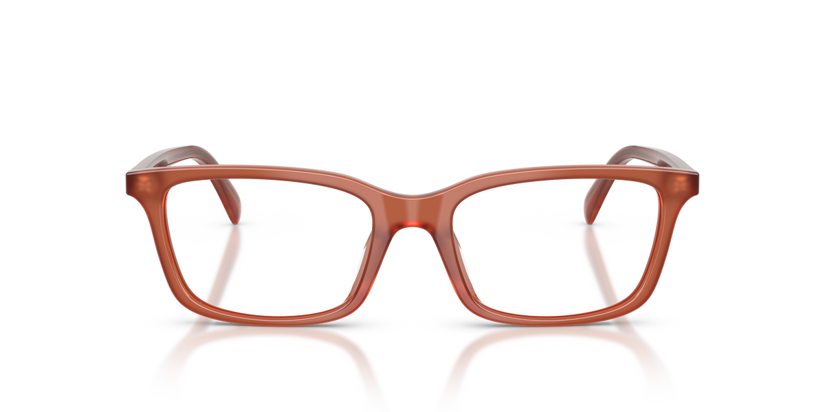 Emporio Armani EA3290U 6455