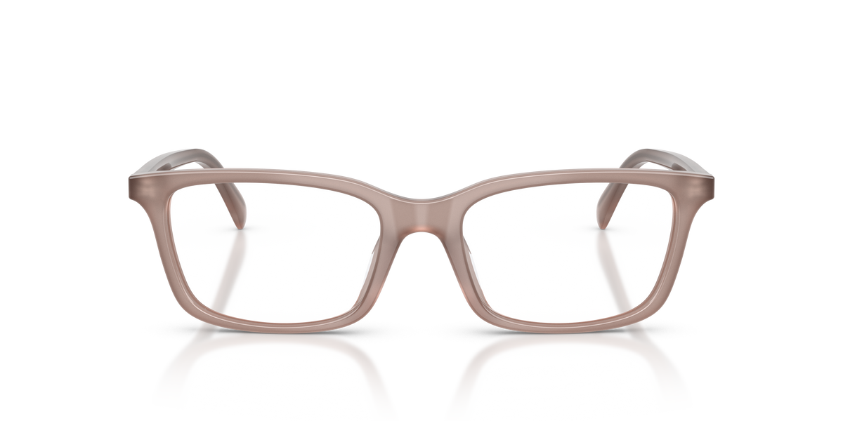Emporio Armani EA3290U 6456