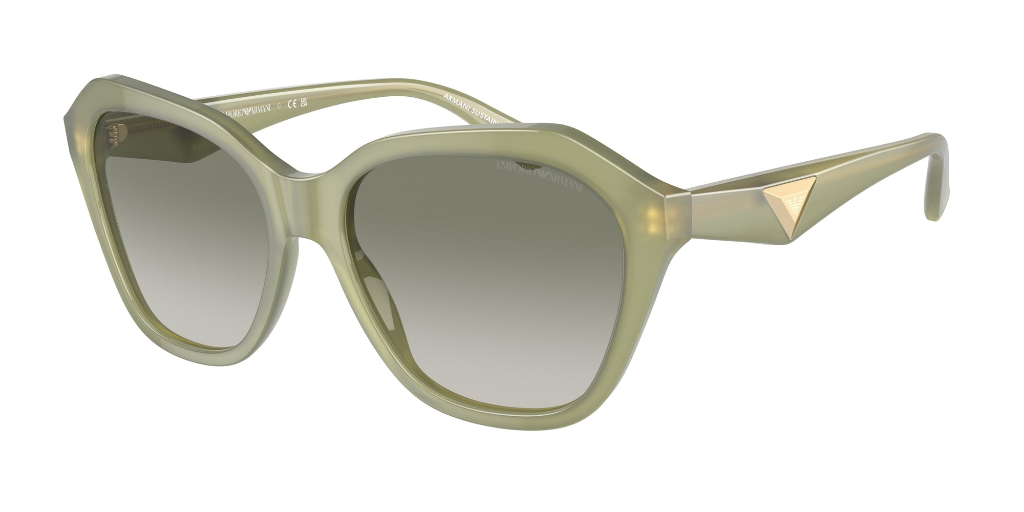EA4221 61168E Occhiali da sole Emporio Armani 1