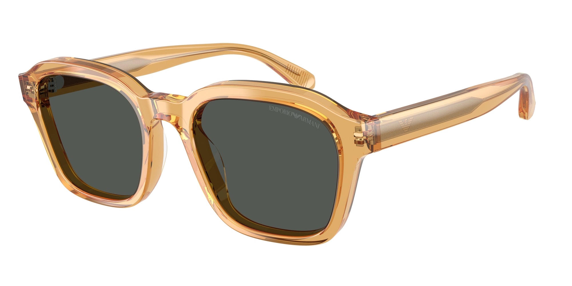EA4245U 624687 Occhiali da sole Emporio Armani 1