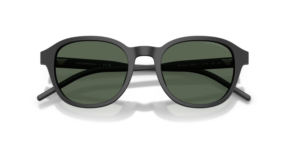 Emporio Armani EA4247U 500171