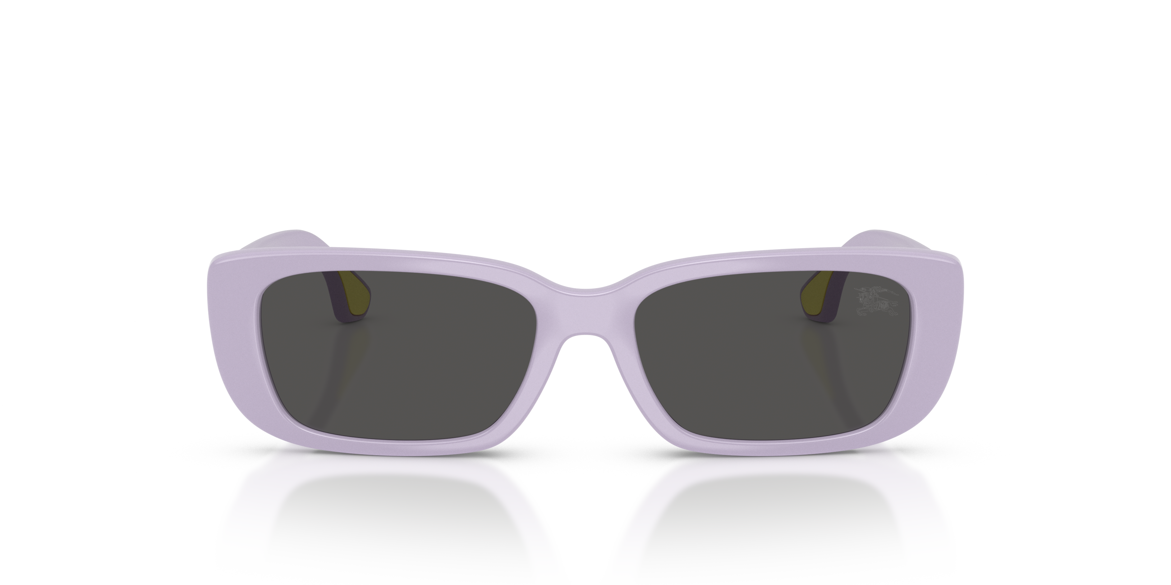 Burberry JB4006U 422887