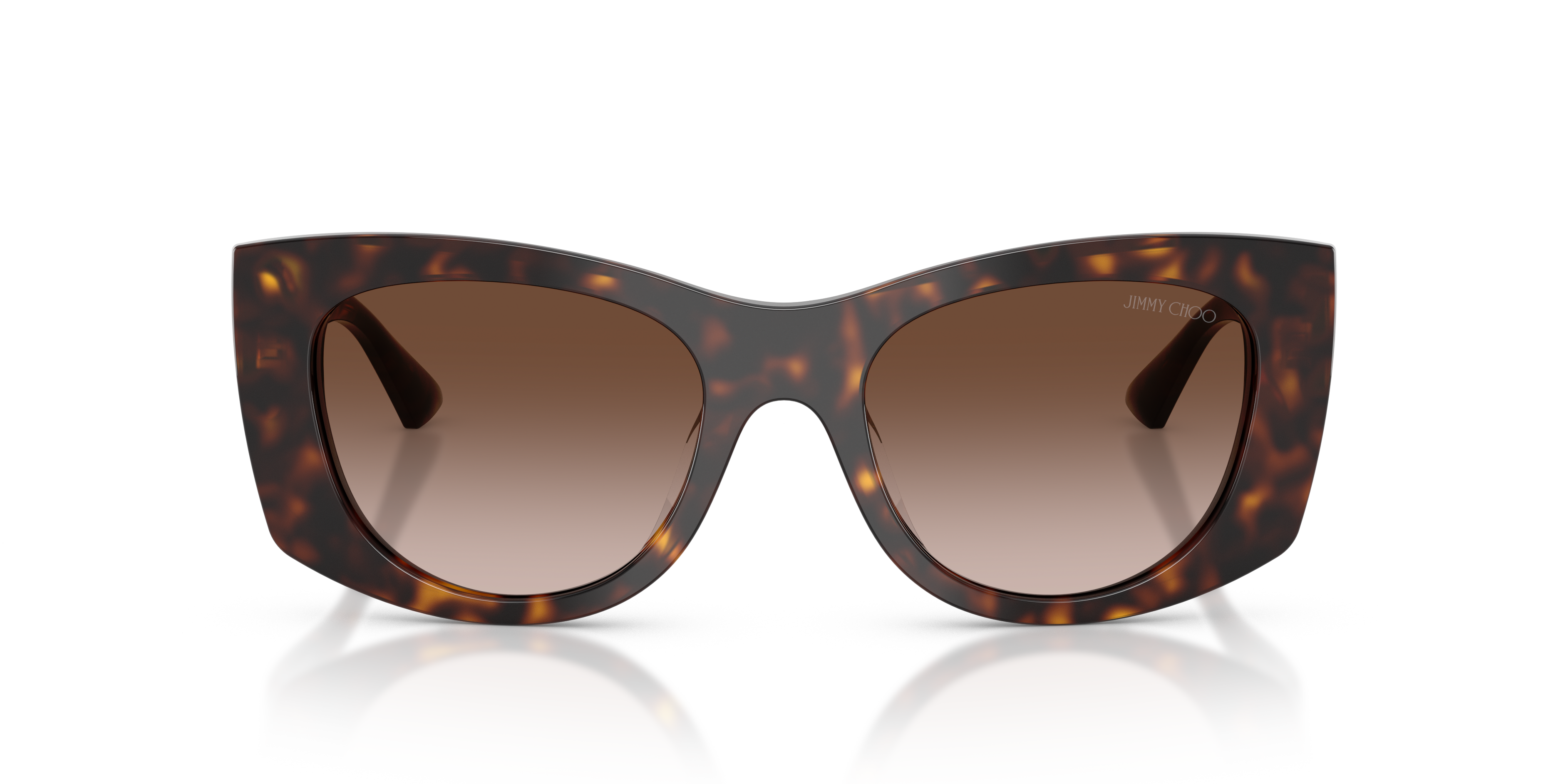 Jimmy Choo JC5066U 500213