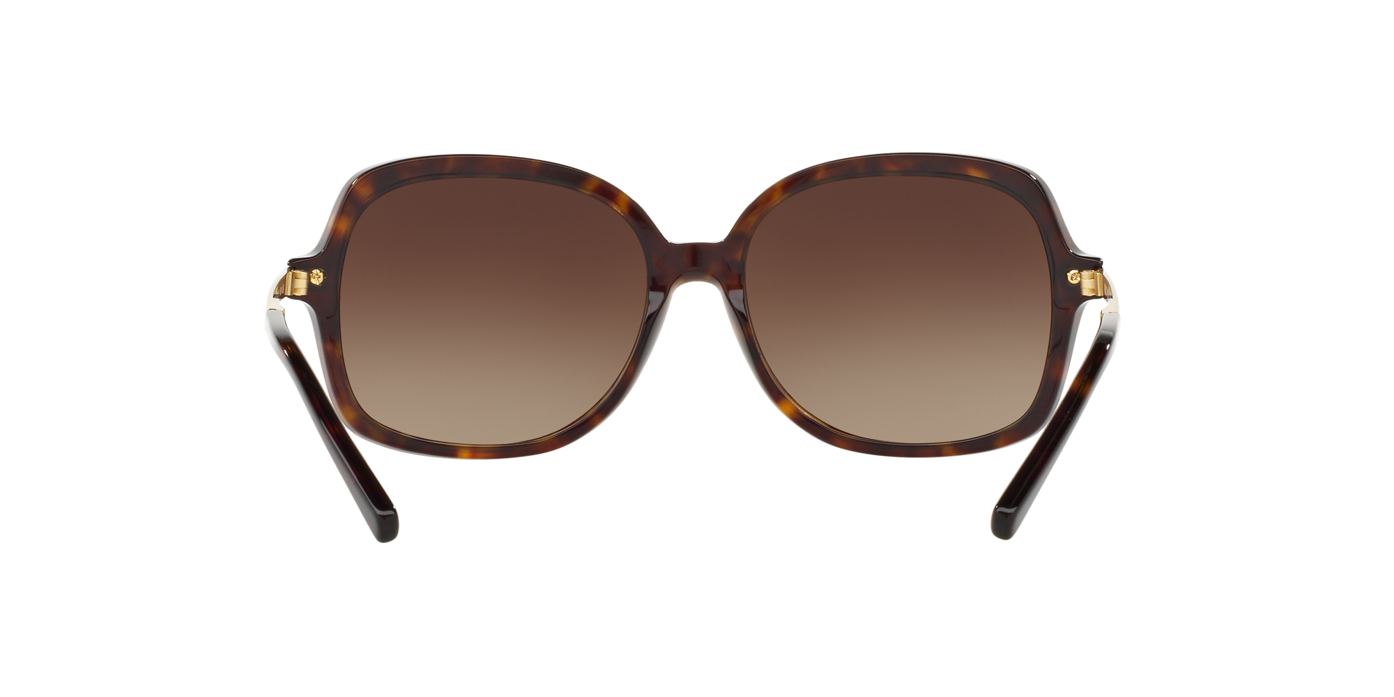 MK2024 ADRIANNA II 310613 Occhiali da sole Michael Kors 5