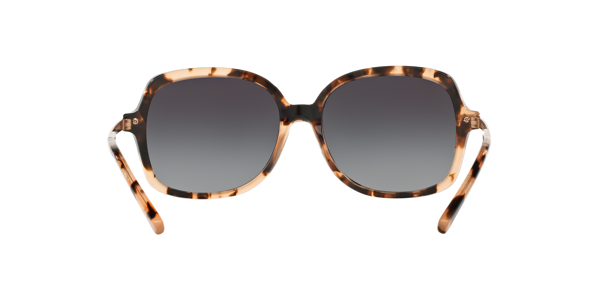 MK2024 ADRIANNA II 316213 Occhiali da sole Michael Kors 5