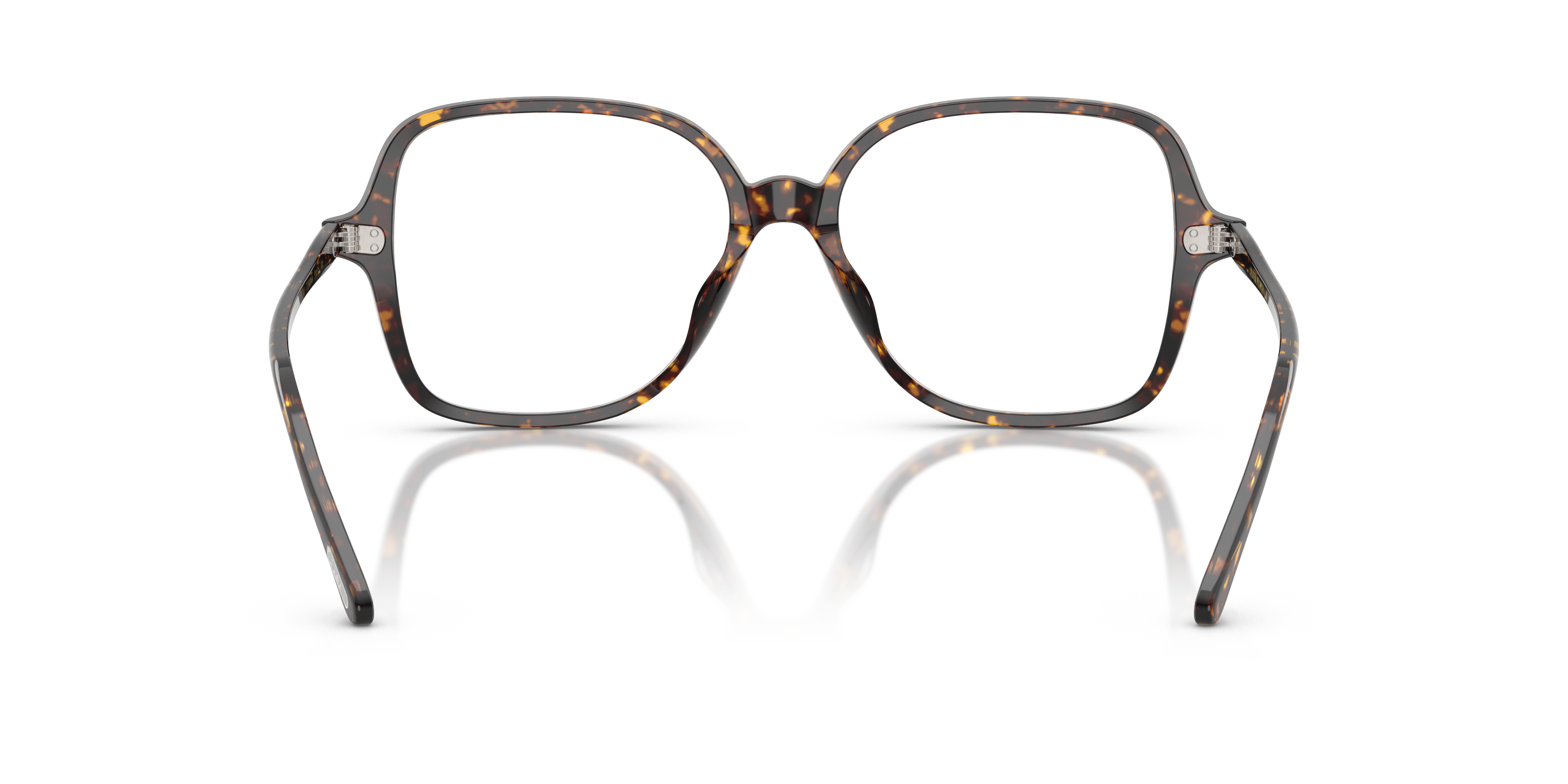 Oliver Peoples OV5567U KABEL 1741