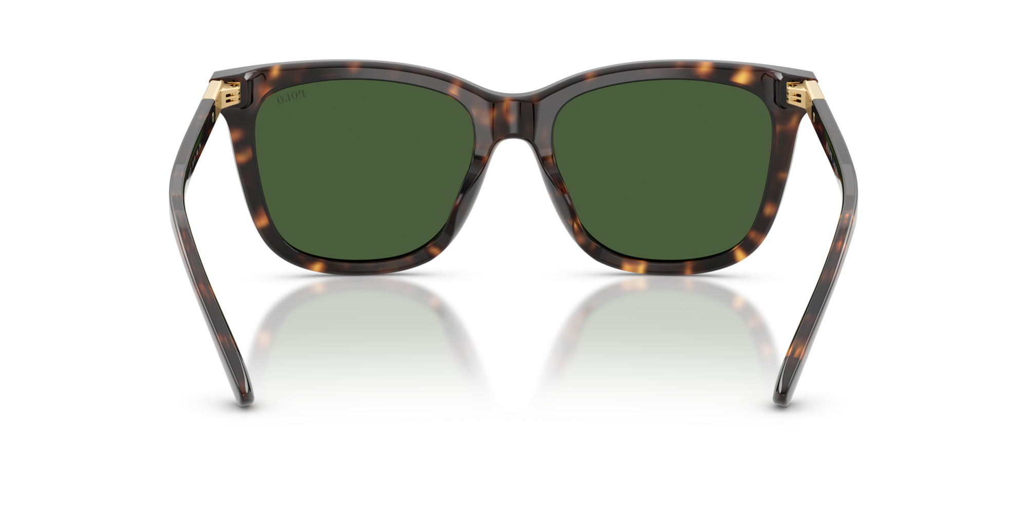 PH4201U 500371 Occhiali da sole Polo Ralph Lauren 5