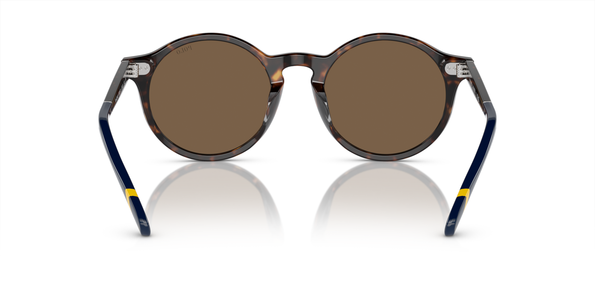 PH4204U 500373 Occhiali da sole Polo Ralph Lauren 5