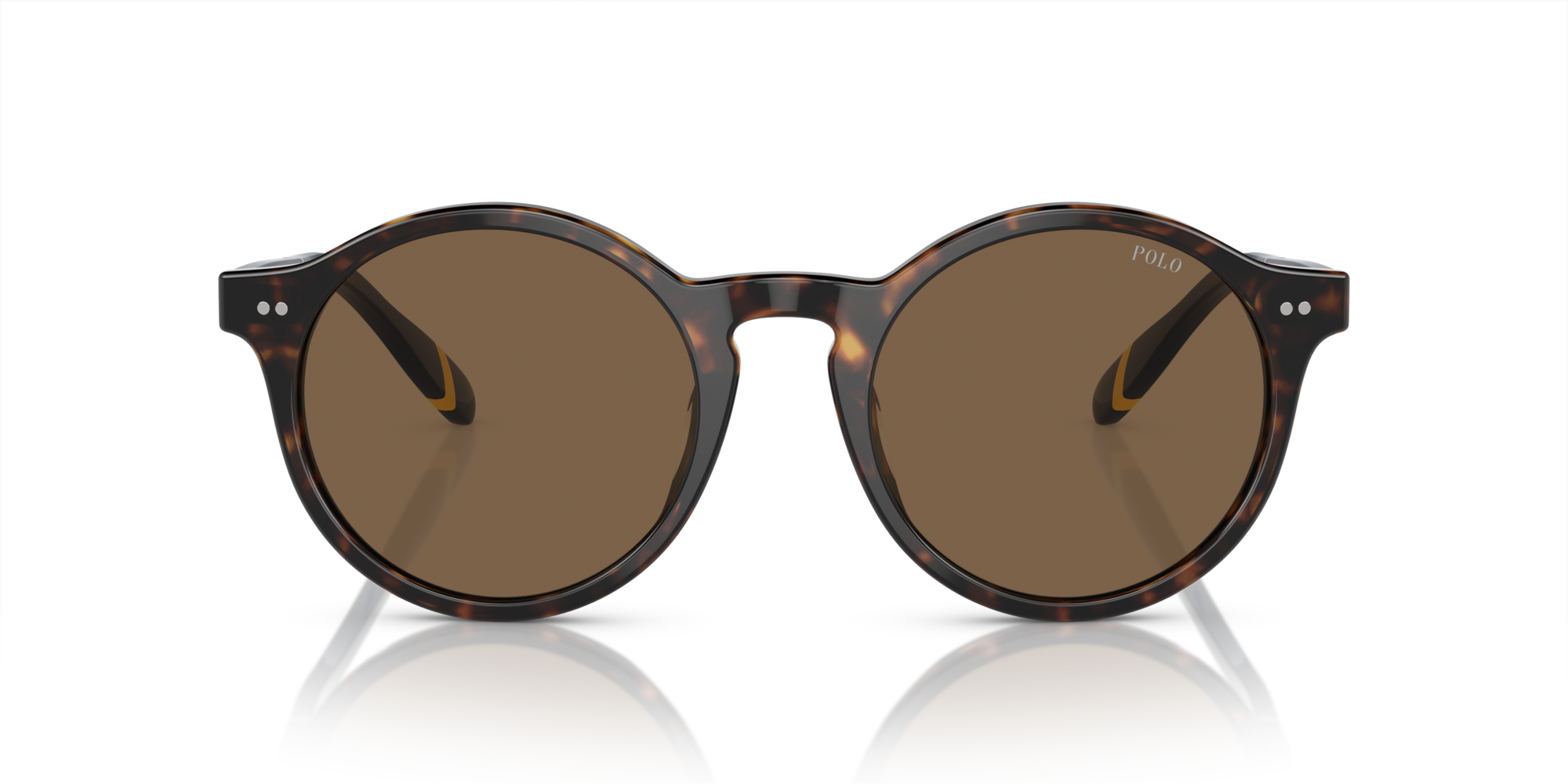 PH4204U 500373 Occhiali da sole Polo Ralph Lauren 3