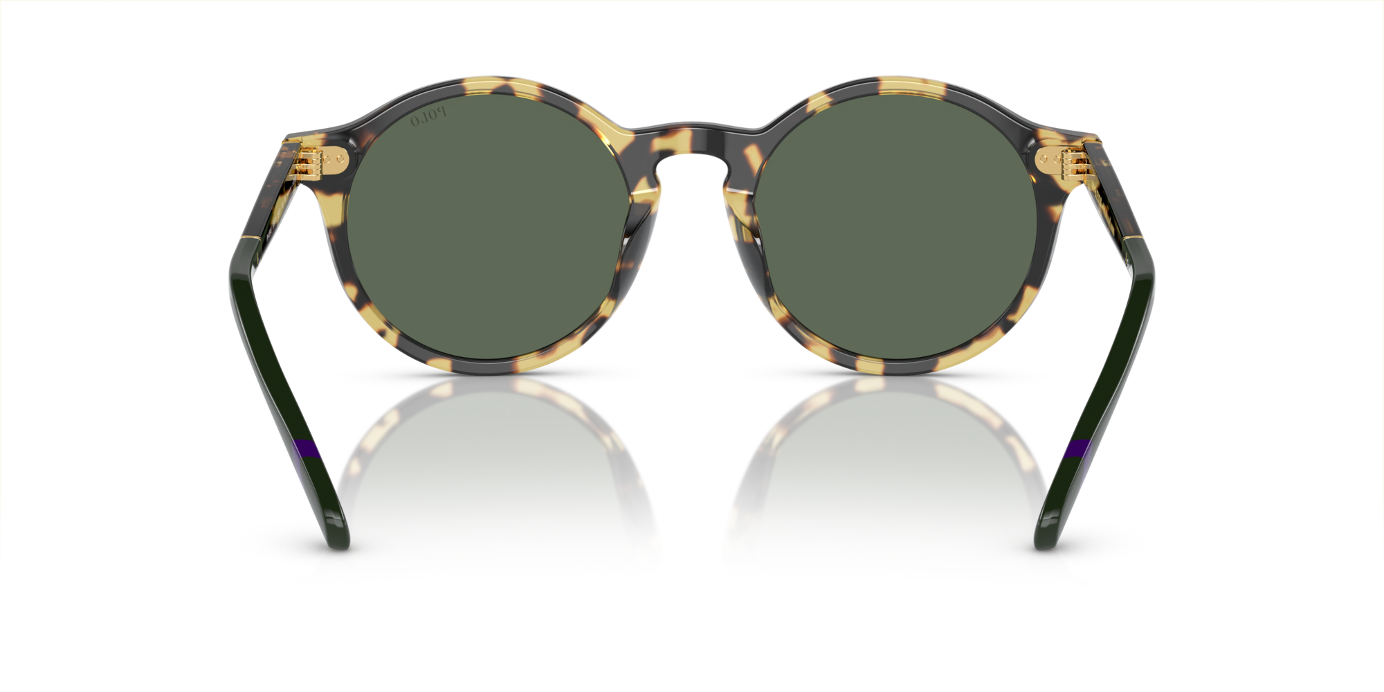 PH4204U 500471 Occhiali da sole Polo Ralph Lauren 5