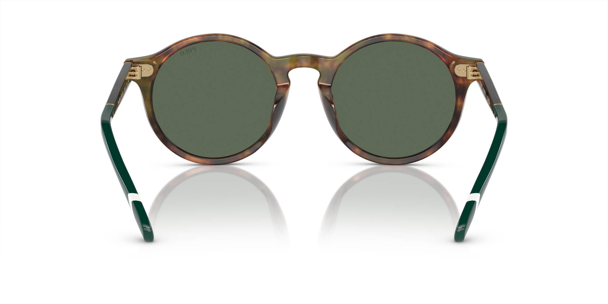PH4204U 501771 Occhiali da sole Polo Ralph Lauren 5