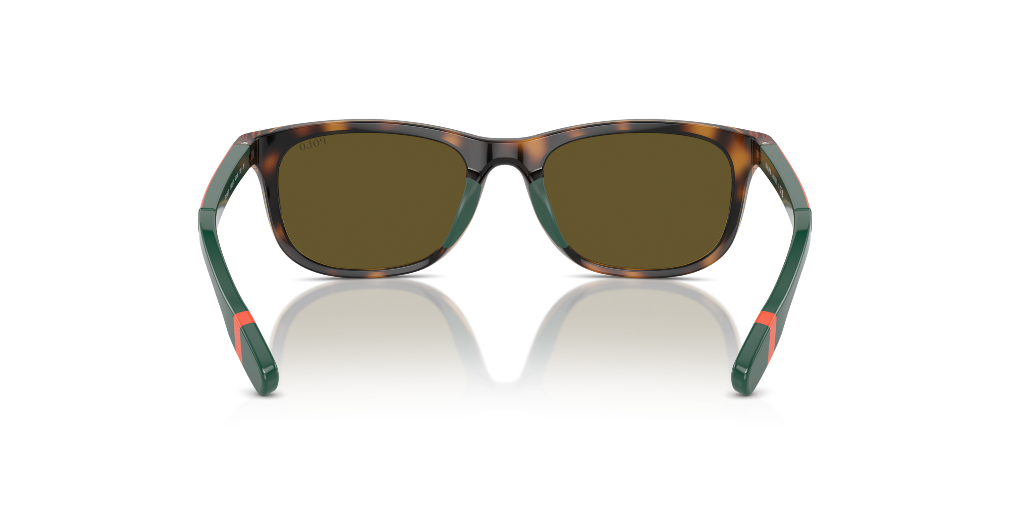 PP9507U 500373 Occhiali da sole Polo Ralph Lauren 6