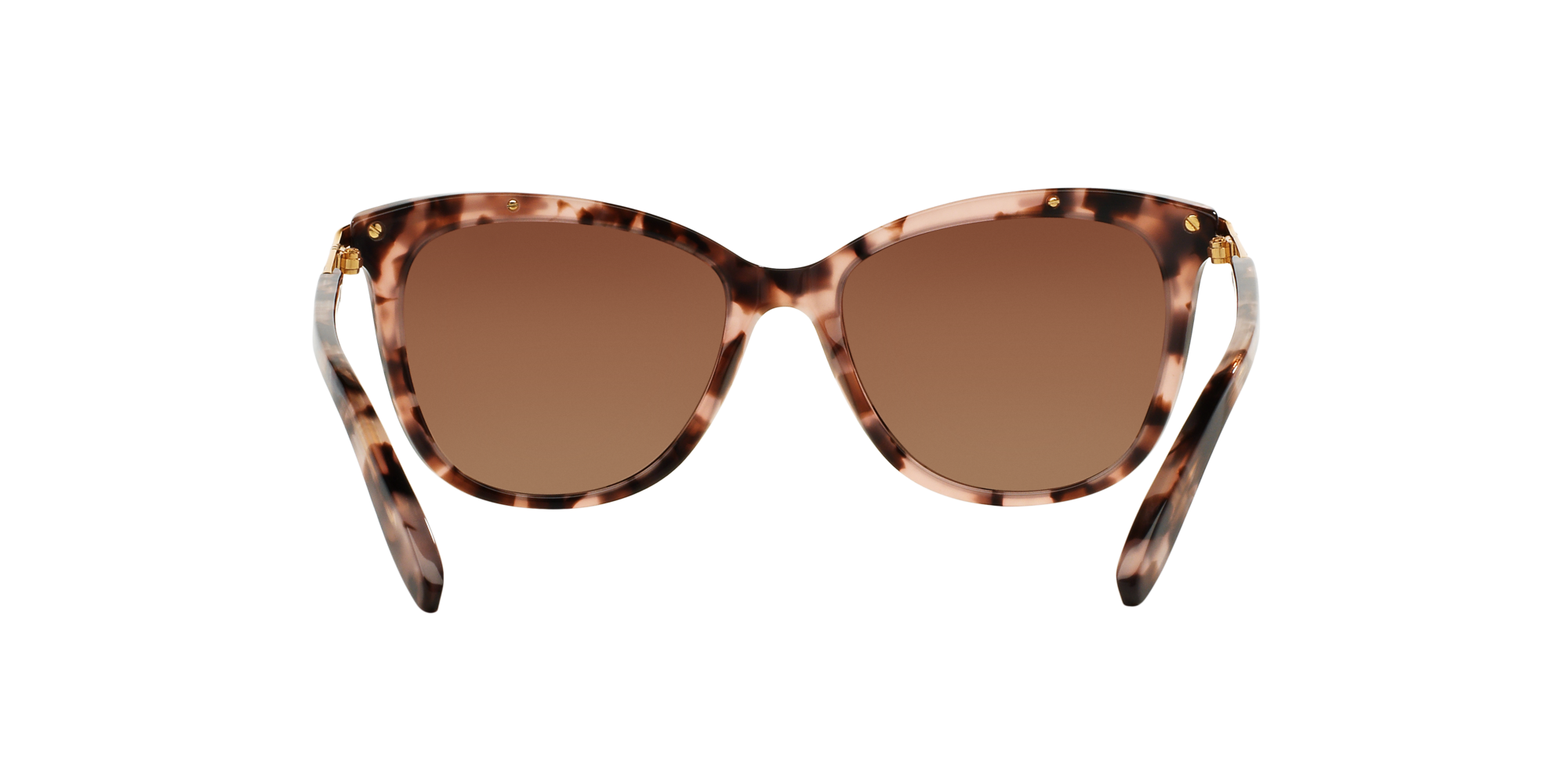 RA5203 1463T5 Occhiali da sole Ralph Lauren 5