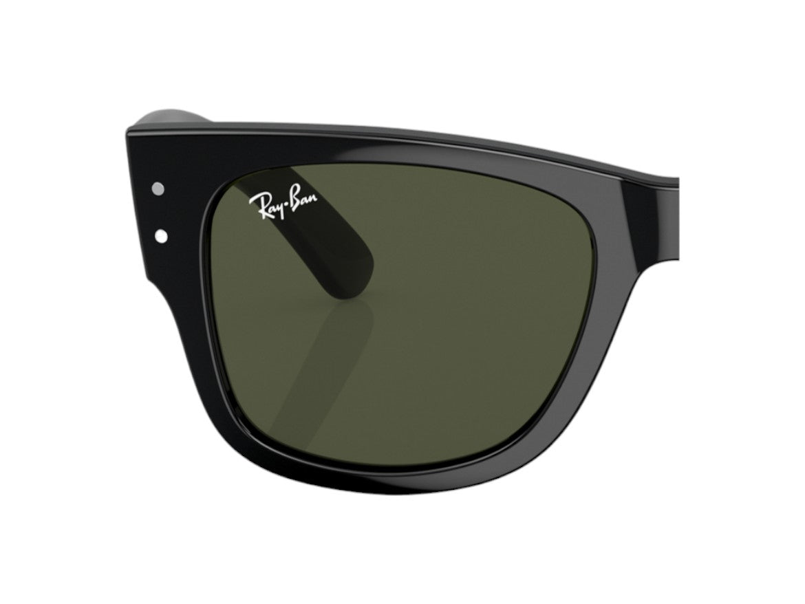 Coppia di Lenti di ricambio Ray-Ban RB0840S Mega wayfarer Lenti di ricambio Ray - Ban Verde 000039930019 1