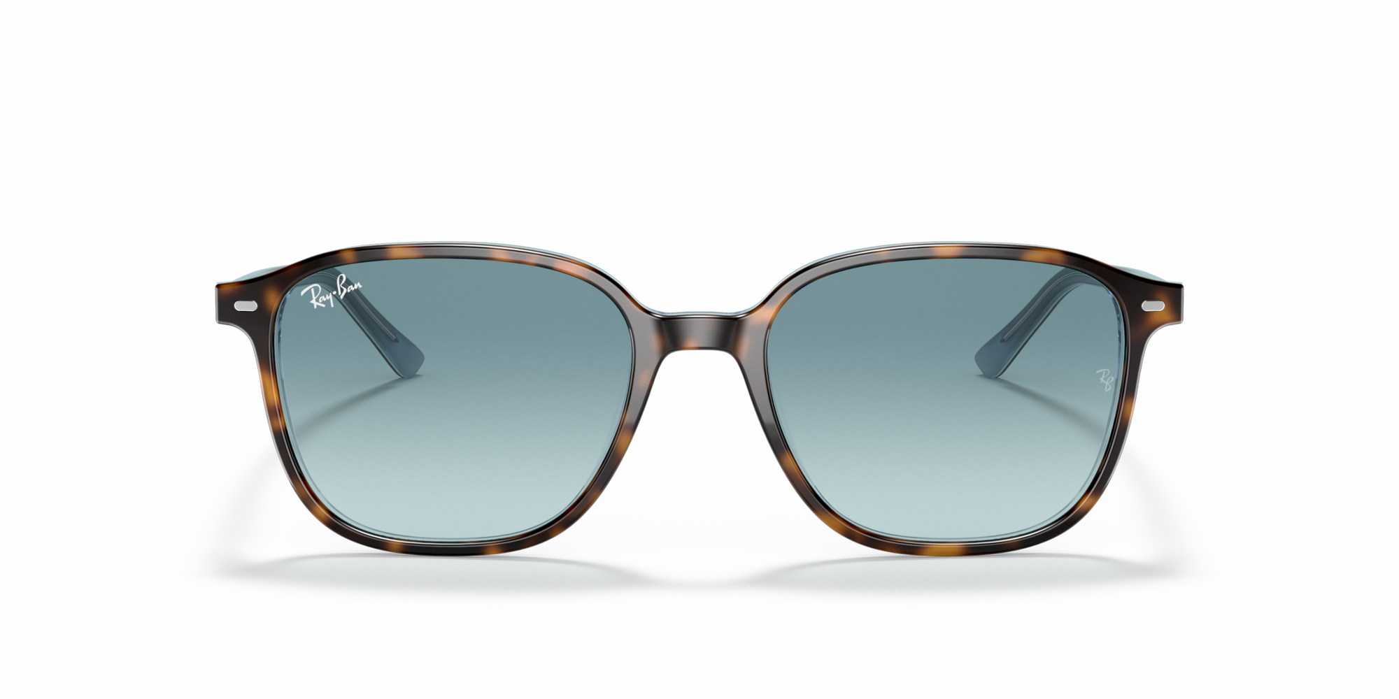 RB2193 LEONARD 13163M Occhiali da sole Ray - Ban 3