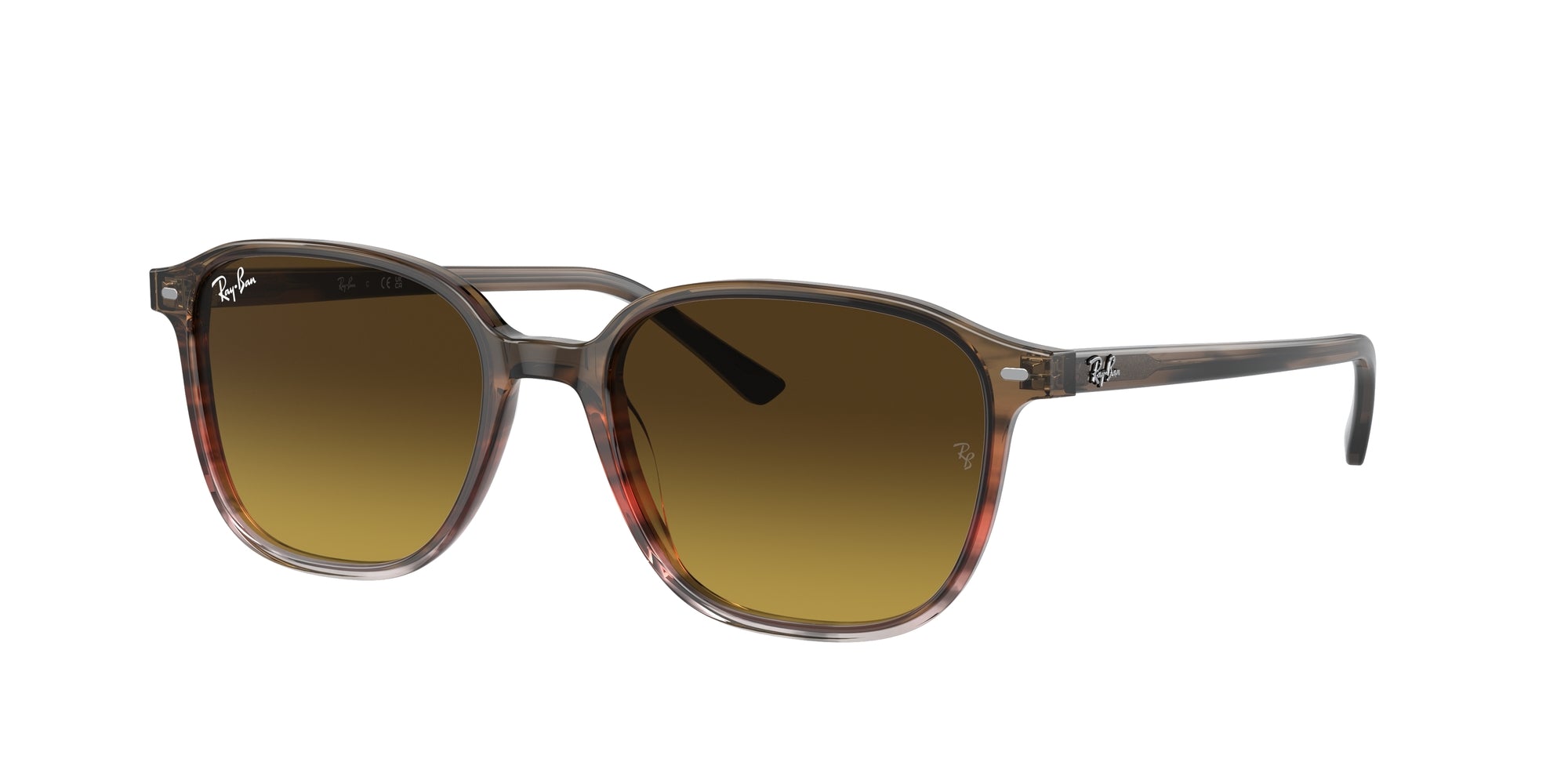 RB2193 LEONARD 138085 Occhiali da sole Ray - Ban 1