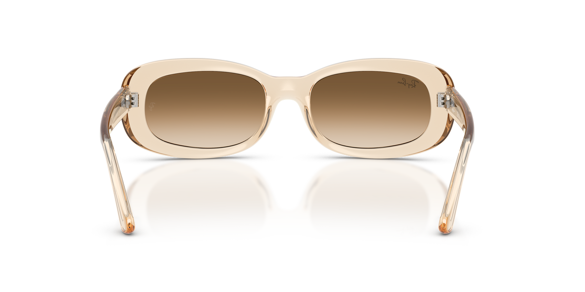 Ray - Ban RB2221 690251