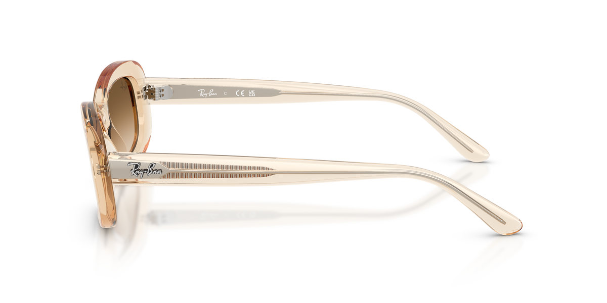 Ray - Ban RB2221 690251