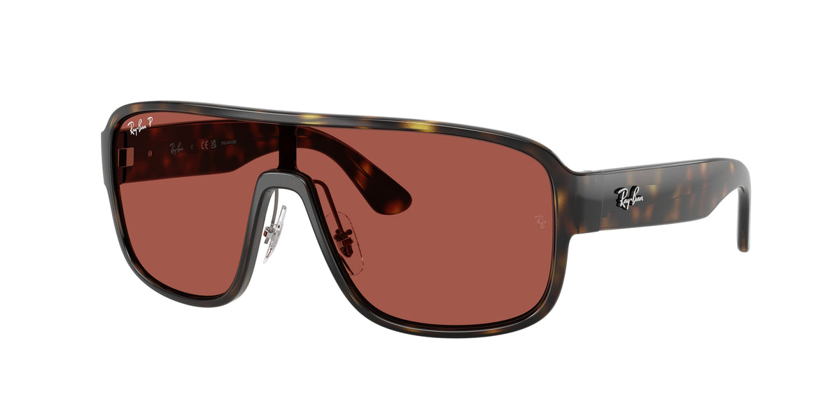 Ray - Ban RB2229 710/1B