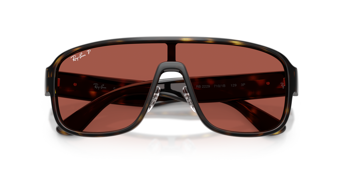 Ray - Ban RB2229 710/1B