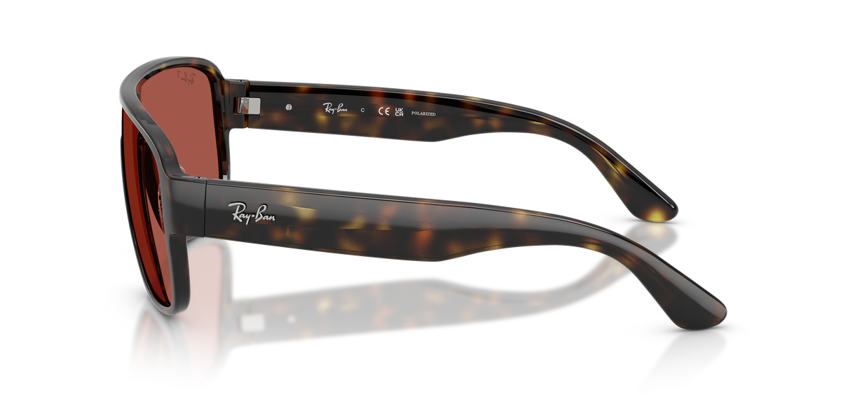 Ray - Ban RB2229 710/1B