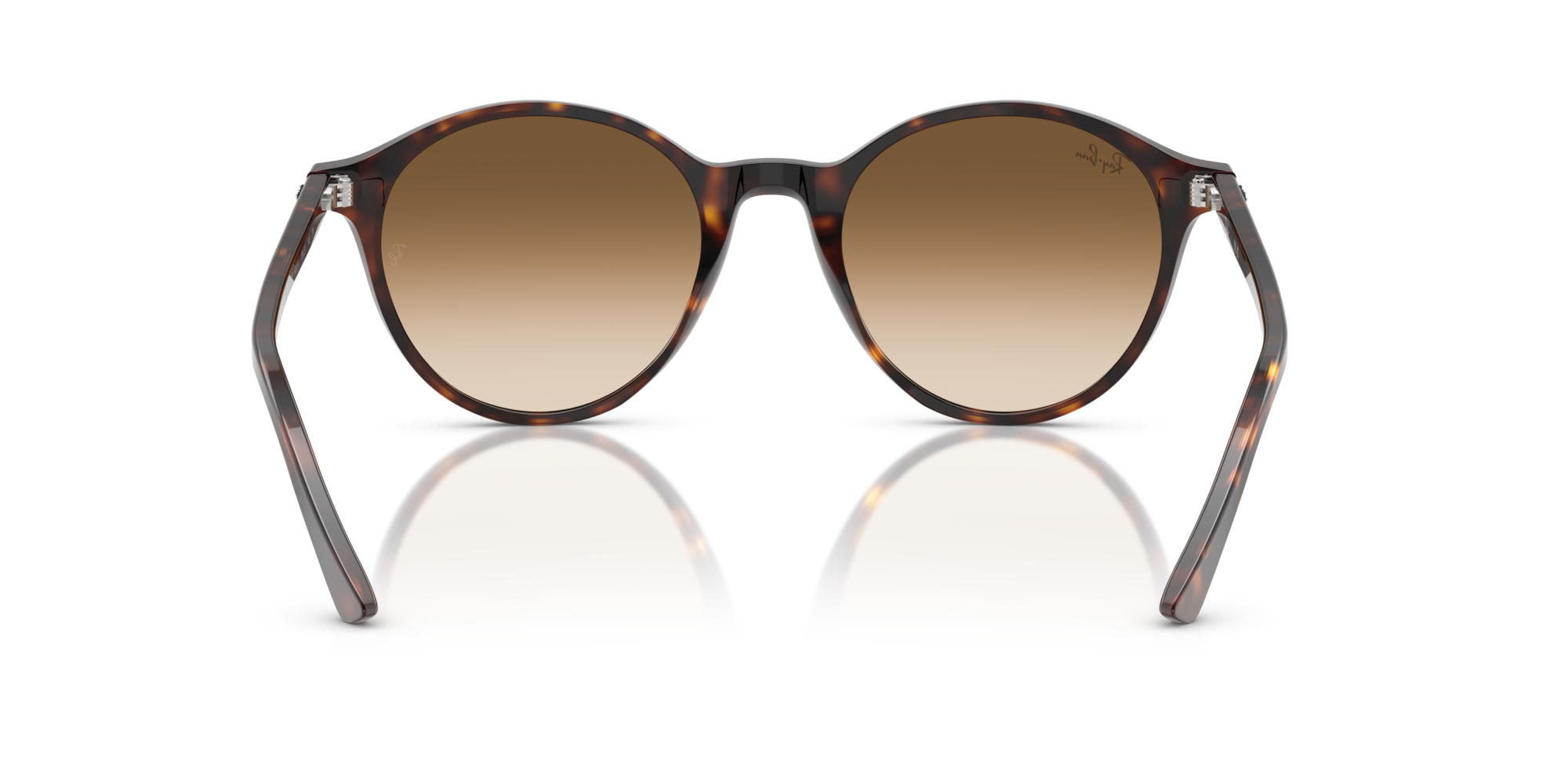 RB2230 BERNARD 902/51 Occhiali da sole Ray - Ban 5
