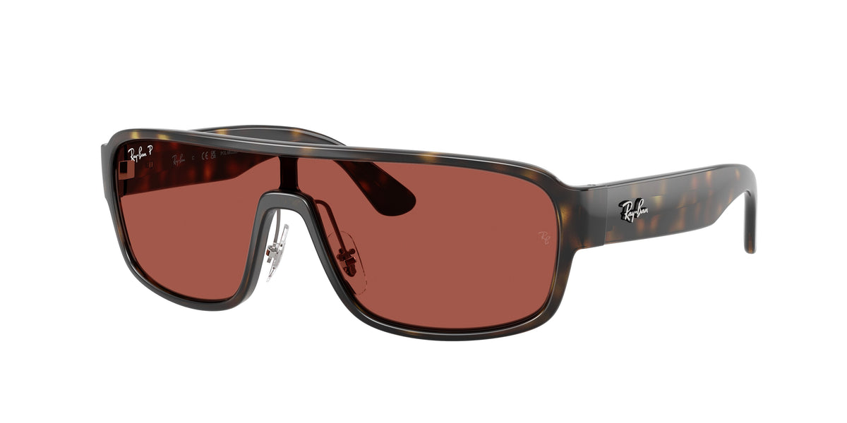 Ray - Ban RB2233 710/1B