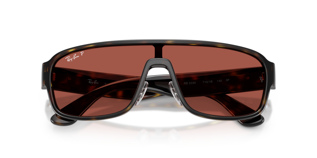 Ray - Ban RB2233 710/1B