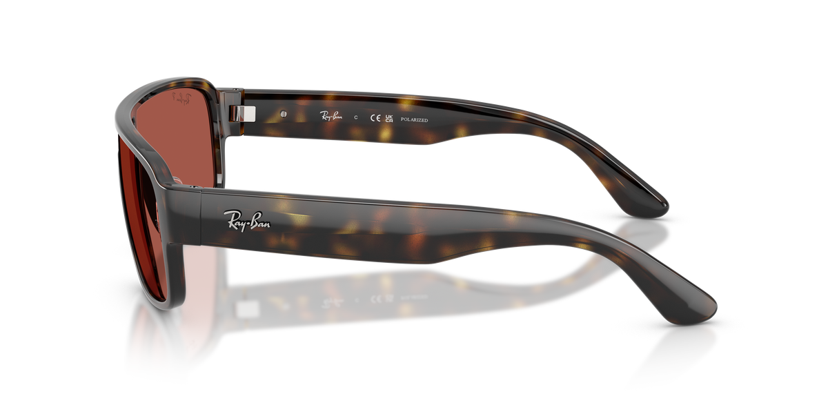 Ray - Ban RB2233 710/1B